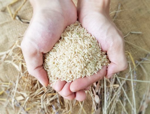 Gạo có màu vàng hoặc vết đen không nên ăn
