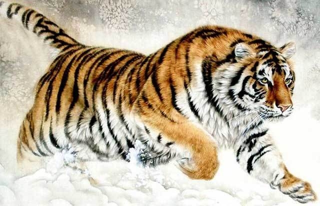 Tuổi Dần may mắn trong thời gian tới 
