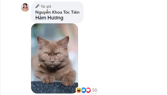 toc-tien 5