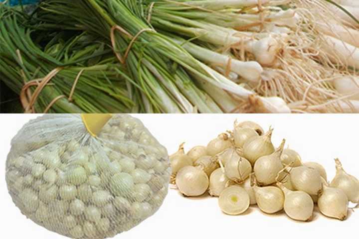 Tác dụng của hành lá với sức khỏe
