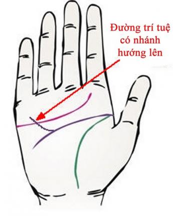 duong-chi-tay-dai-phu-quy-02