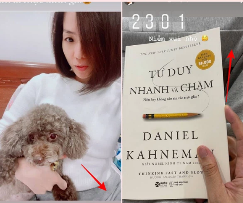 Tối khuya 13/3, Lệ Quyên đăng ảnh khoe cún cưng, nhưng nhìn chiếc quần cô đang mặc lại y hệt bức ảnh Lâm Bảo Châu đăng cách đó vài phút. Dường như cả hai đã có thời gian tận hưởng hạnh phúc bên nhau. Tất nhiên, đây cũng không phải là lần đầu tiên Lệ Quyên và Lâm Bảo Châu được netizen 