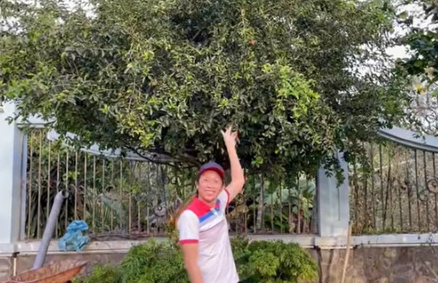 hoai-linh2