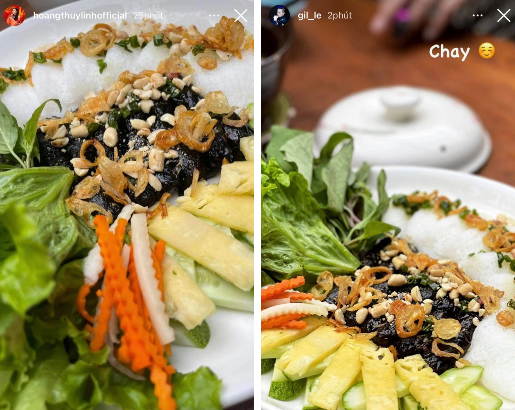 Hoàng Thuỳ Linh và Gil Lê đã tung 