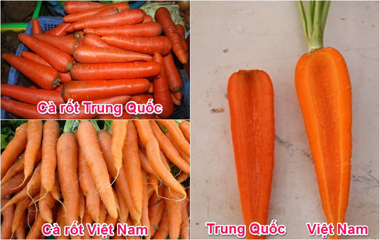cach-phan-biet-ca-rot-viet-nam-va-trung-quoc-1_760x480