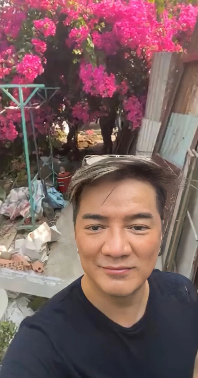 Đàm Vĩnh Hưng quay lại cảnh nhận món quà độc đáo từ fan. Vì biết nam ca sĩ thích cây cối, fan đã tặng anh một cây hoa giấy khổng lồ. Những tán cây dài, sà xuống mặt đất với nhiều chùm hoa rực rỡ bắt mắt. Vì cây được trồng nhiều năm, bám rễ sâu vào đất nên nam ca sĩ phải huy động nhân lực hỗ trợ, thuê xe đến bứng gốc cây mang về. Đàm Vĩnh Hưng tiết lộ cây hoa giấy có tuổi đời gần 10 năm, mất đến 3 tiếng đồng hồ để vận chuyển về nhà. Mr. Đàm bộc bạch: “Cây hoa giấy bị vướng nhiều cây con khác và lưới sắt xung quanh do từ bé lớn lên, len lỏi vào các thanh sắt chống đỡ mà phát triển. Do cây nằm trên nền xi măng nên phải đập xi măng rồi đào rộng thật rộng để không bị đứt rễ”.