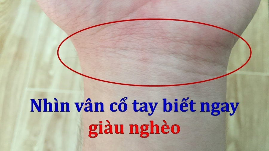 xem-duong-van-co-tay-1