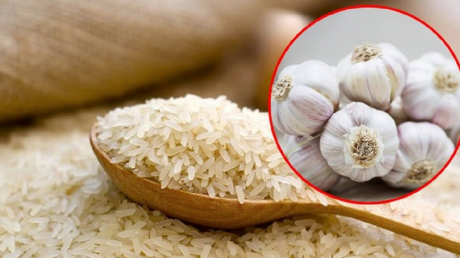 Thả nắm tỏi vào gạo