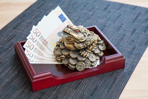 224582-507x338-money-frog-and-euro