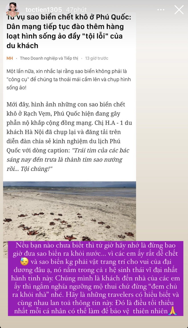 toc-tien 1