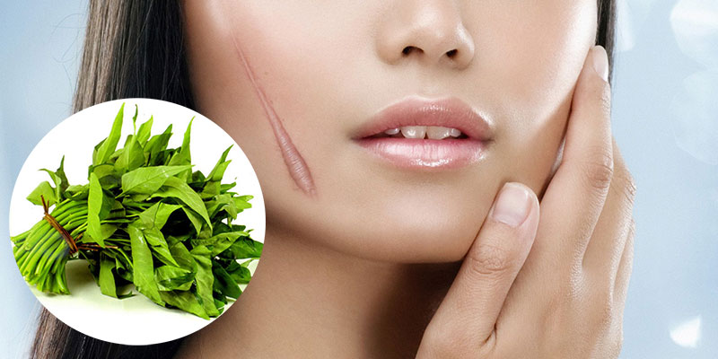 Người có vết sẹo chưa lành không nên ăn rau muống