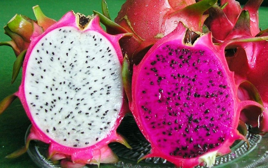 Người khí hư hàn lạnh bụng không ăn