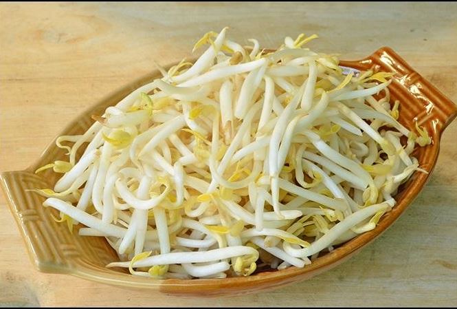 Không ăn giá đỗ khi Sh88bet đăng ký miễn phí đang hàn lạnh