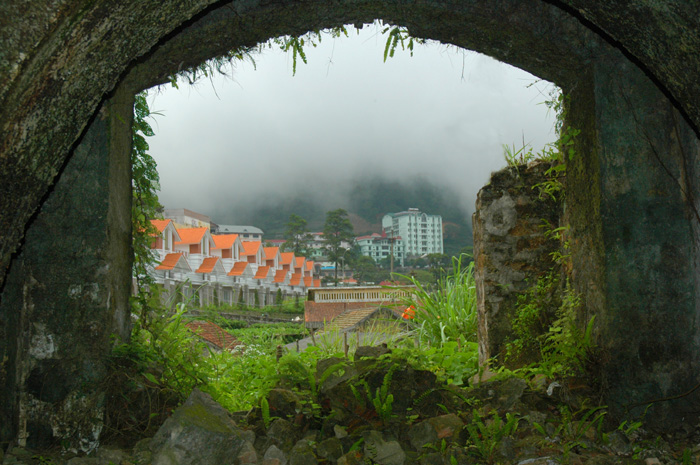 tam_dao