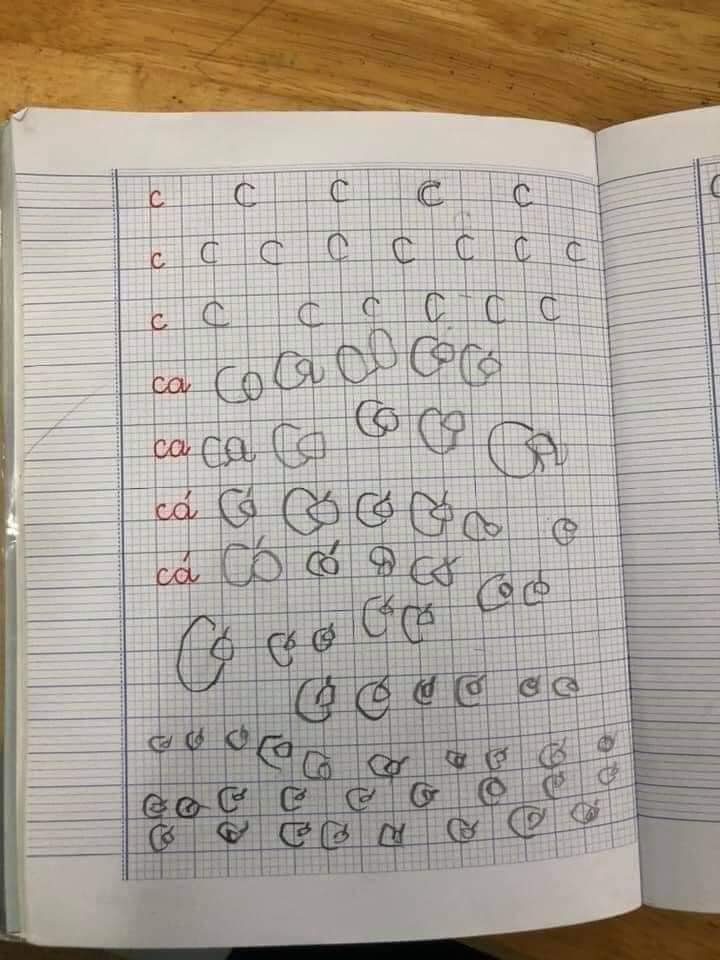 hoc11
