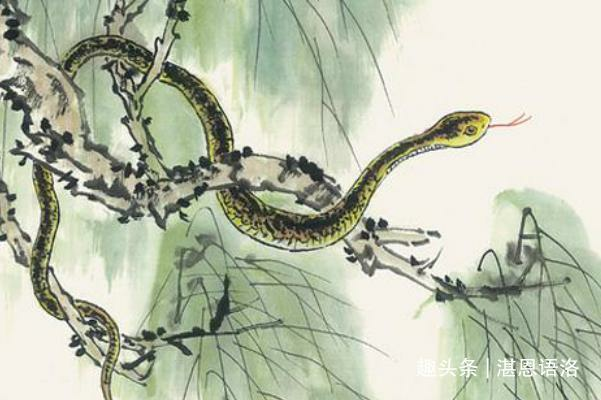 Tuổi Tỵ phát tài trong 3 năm tới
