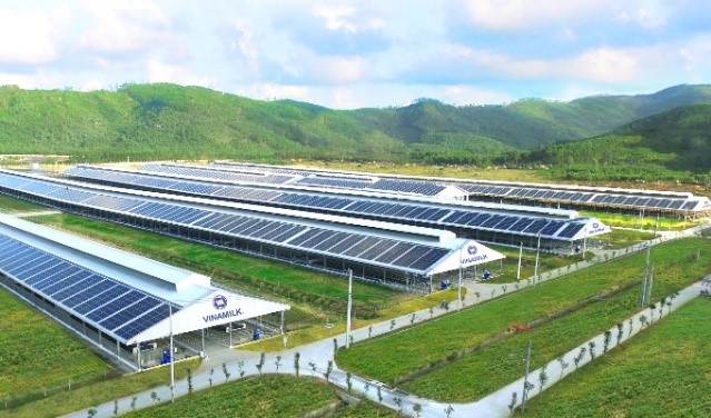 Hệ thống trang trại sinh thái Green Farm mới của Vinamilk có quy mô đàn bò hàng chục ngàn con trên diện tích rộng hàng ngàn hecta