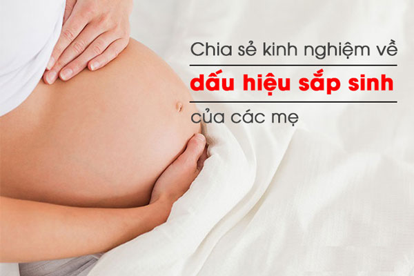 dau-hieu-sap-sinh-1x
