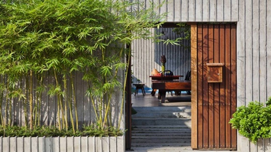 Trồng cây xanh trước cửa nhà