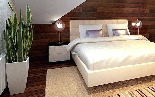 Cây xanh không đặt trong phòng ngủ