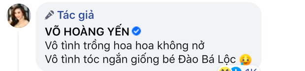 vohoangyen 2