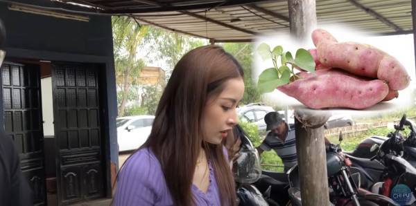 haanh 1