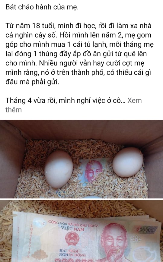 Điều bắt ngờ bên trong hộp trứng gà (Ảnh chụp màn hình)