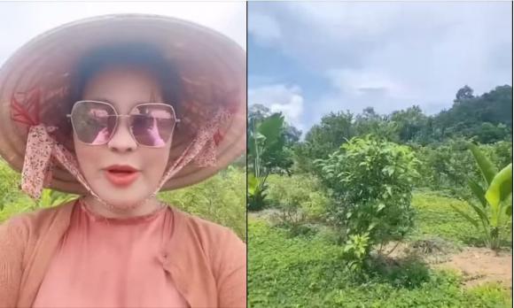 quybinh 3