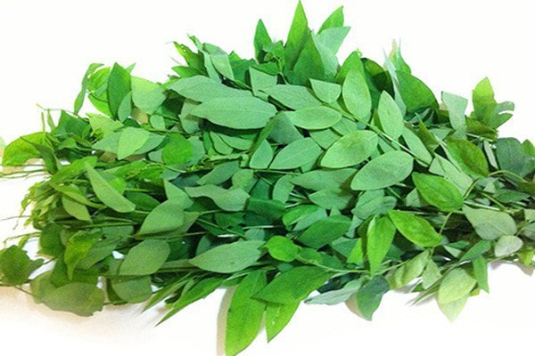 Người đang thiếu canxi không ăn nhiều rau ngót