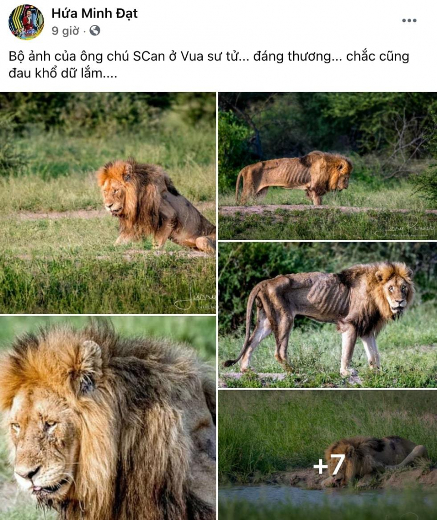 huaminhdat