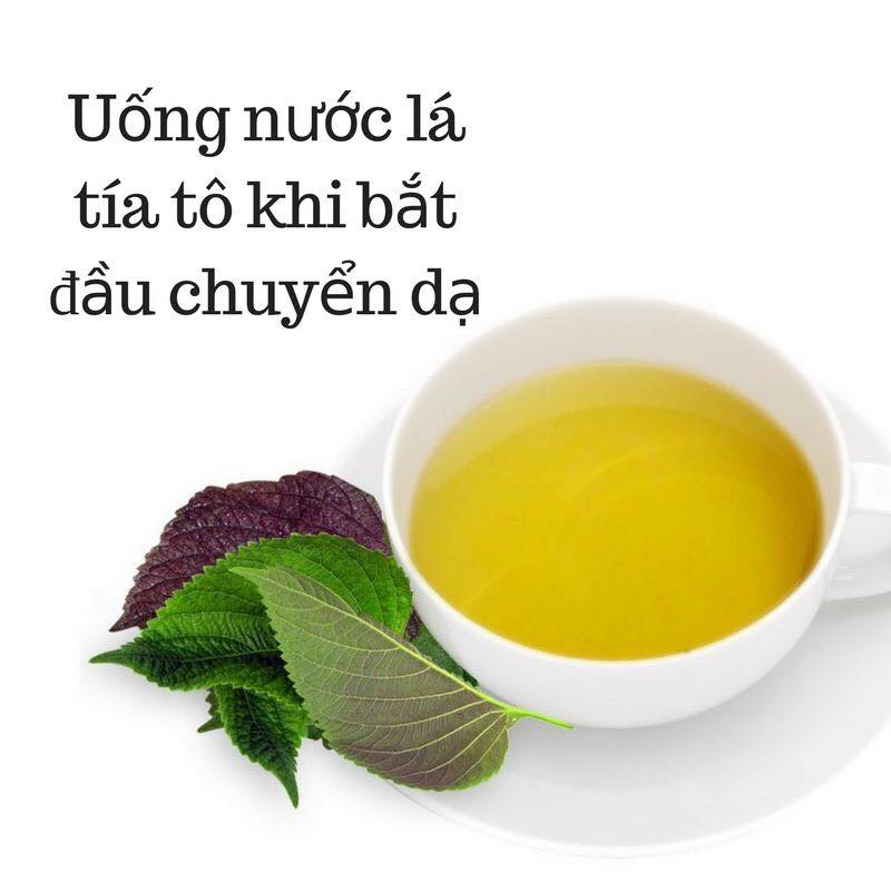 Uống nước lá tía tô giúp mẹ bầu vượt cạn nhẹ nhàng hơn
