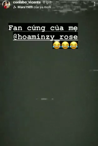 hoaminzy 2