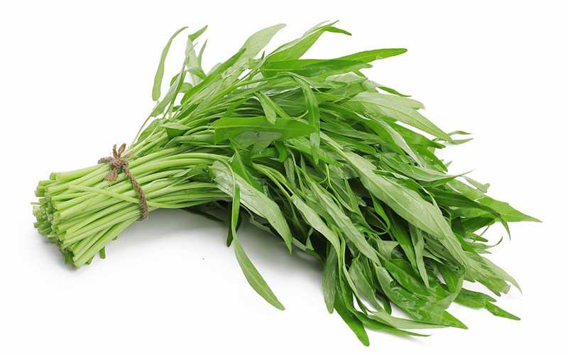 Rau muống chứa nhiều vi khuẩn