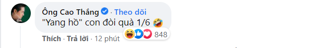 dongnhi2