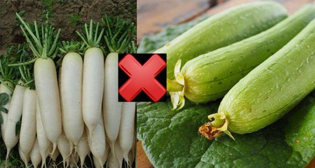 Củ cải trắng kỵ canh mướp