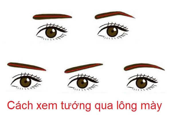 Nhìn tướng lông mày biết tương lai