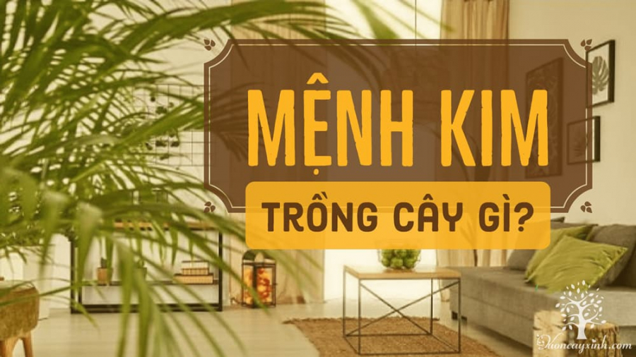 menhkim