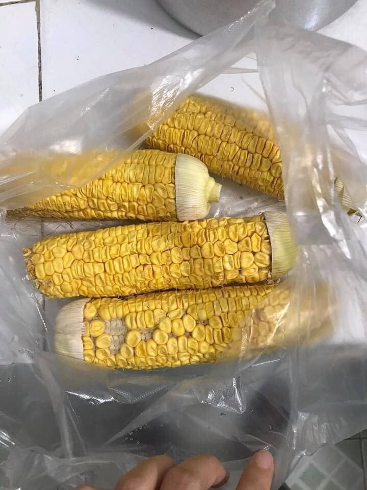 (Ảnh: Mỹ Lệ/ Không sợ chó)