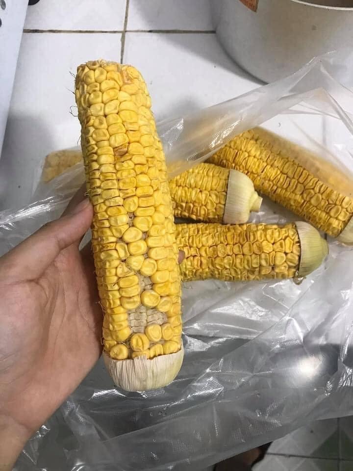 Thanh niên đi mua ngô ngọt về ăn và cái kết (Ảnh: Mỹ Lệ/ Không sợ chó)