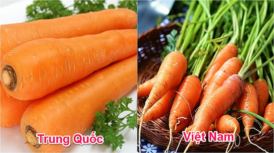 phan-biet-20-loai-rau-cu-trung-quoc-viet-nam-02