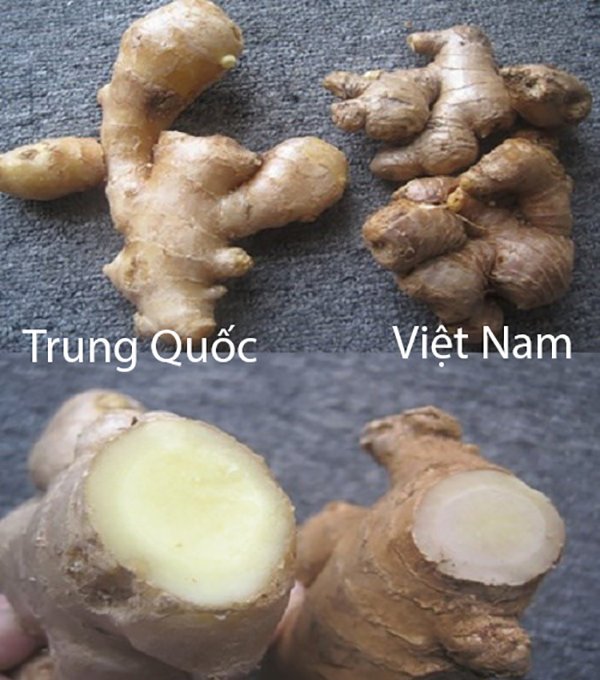 phan-biet-20-loai-rau-cu-trung-quoc-viet-nam-020
