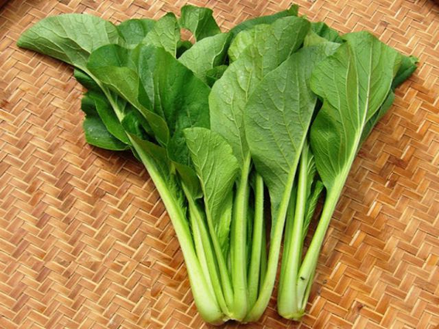 phan-biet-20-loai-rau-cu-trung-quoc-viet-nam-03