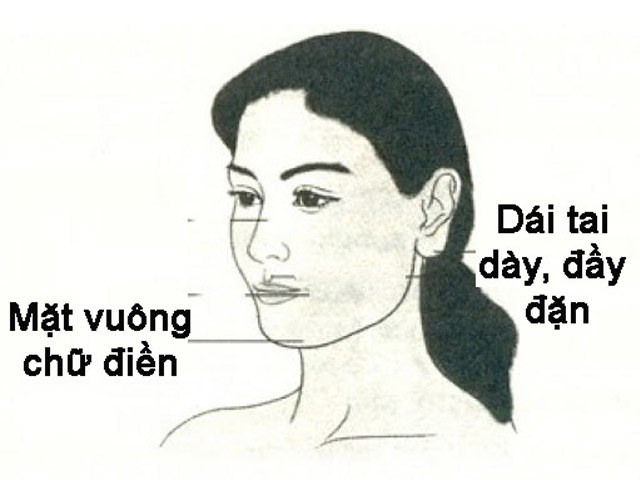Cằm to tròn đầy phát tài