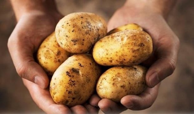 Khoai tây giàu năng lượng dễ gây béo phì