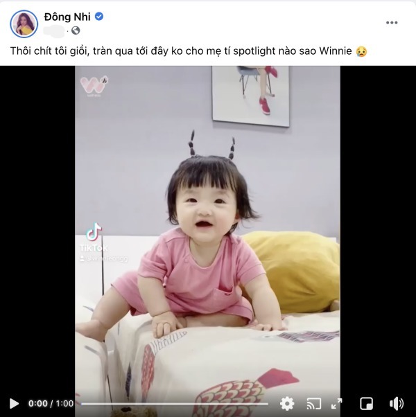 dongnhi3