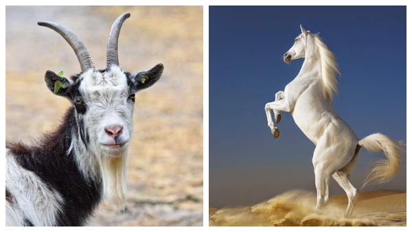 tu-vi-cuoi-thang-6