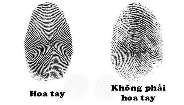dem-so-hoa-tay-02