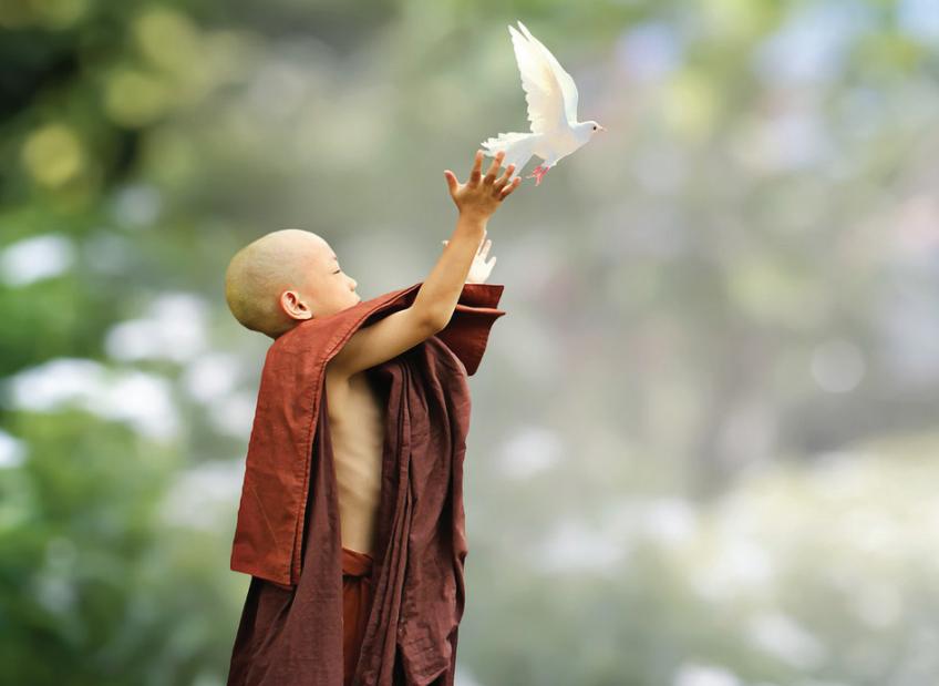 Nên phóng sinh làm việc thiện tạo phúc báo