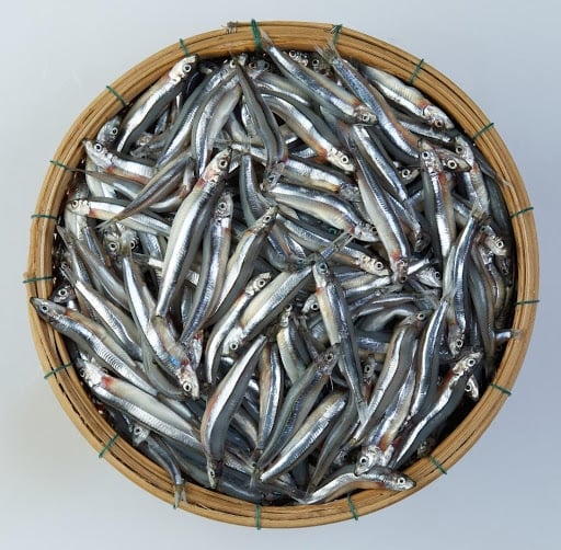 8-loai-ca-giau-omega-3-05