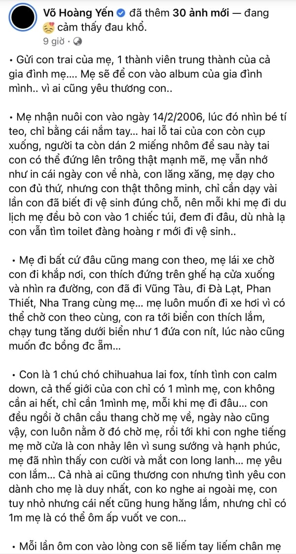 vohoangyen3